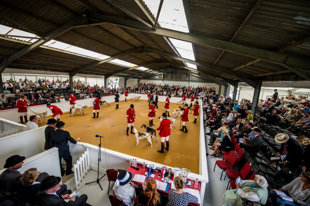 History of FOH – Festival of Hounds