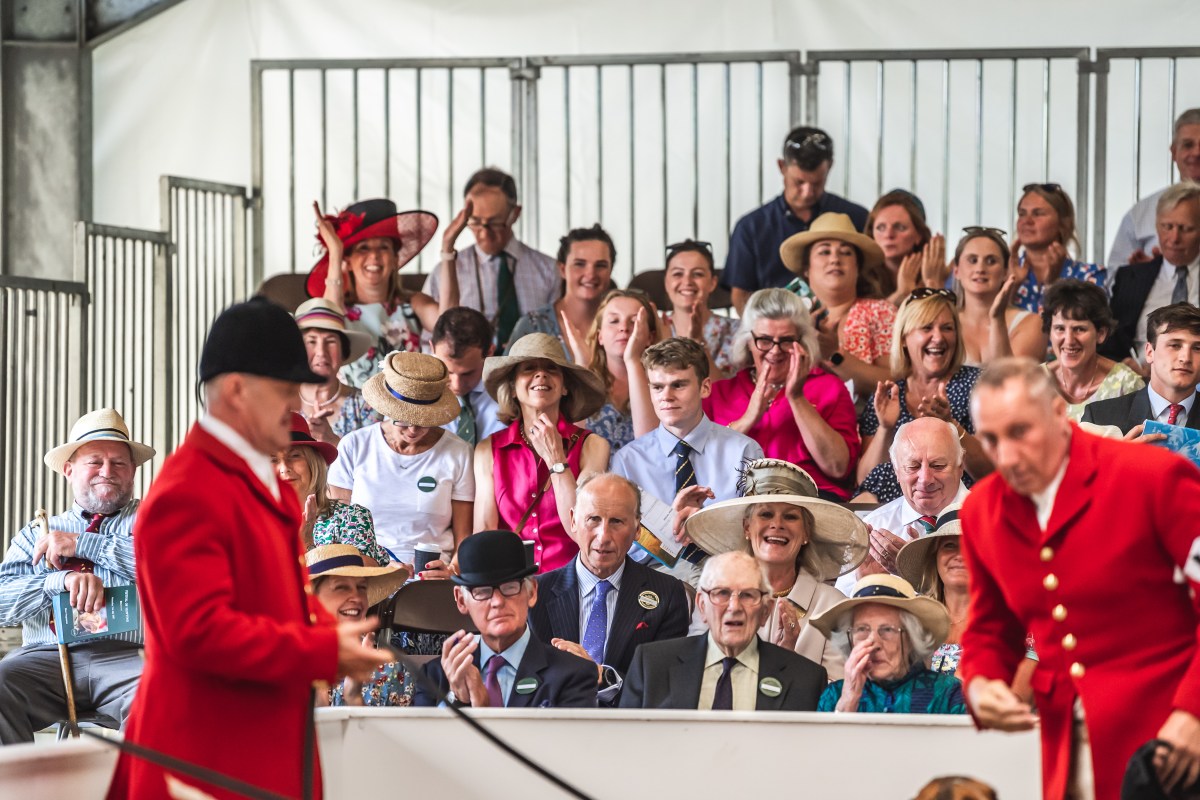 Masters of Basset Hounds Association- MBHA – Festival of Hounds