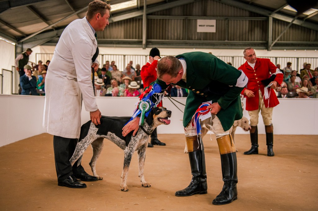 What’s on at the 2026 Festival of&nbsp;Hounds?